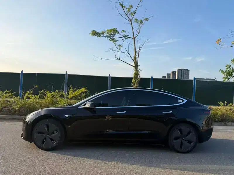 Model 3 2020 Standard Range Rear-Wheel Drive Upgrade — миниатюра 3