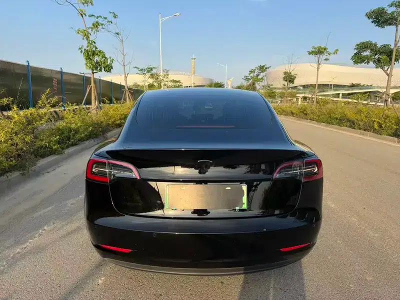 Model 3 2020 Standard Range Rear-Wheel Drive Upgrade — миниатюра 4