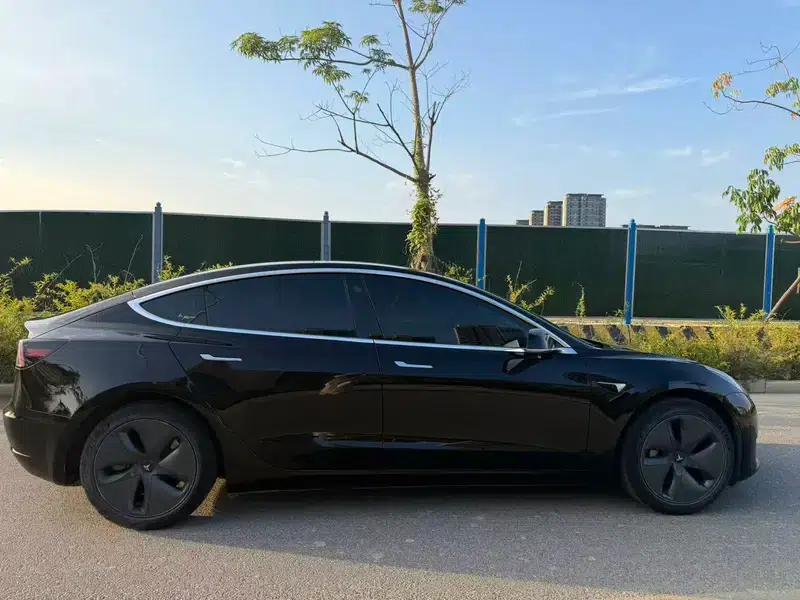 Model 3 2020 Standard Range Rear-Wheel Drive Upgrade — миниатюра 5