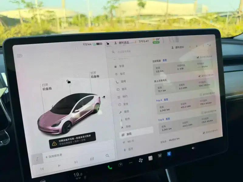 Model 3 2020 Standard Range Rear-Wheel Drive Upgrade — миниатюра 6