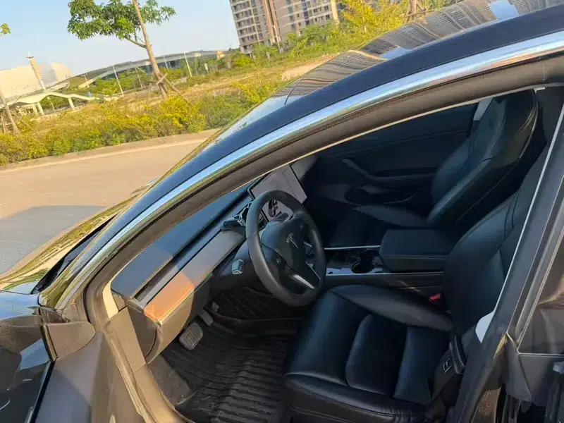 Model 3 2020 Standard Range Rear-Wheel Drive Upgrade — миниатюра 8