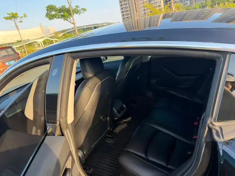 Model 3 2020 Standard Range Rear-Wheel Drive Upgrade — миниатюра 9