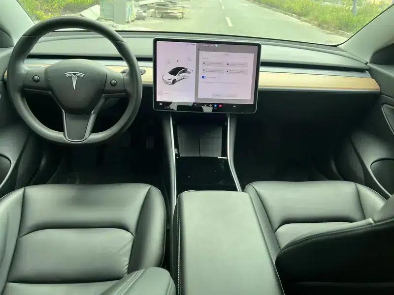 Model 3 2020 Long Range Rear-Wheel Drive — миниатюра 7