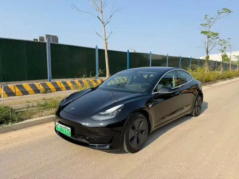 Model 3 2020 Standard Range Rear-Wheel Drive Upgrade — миниатюра 1