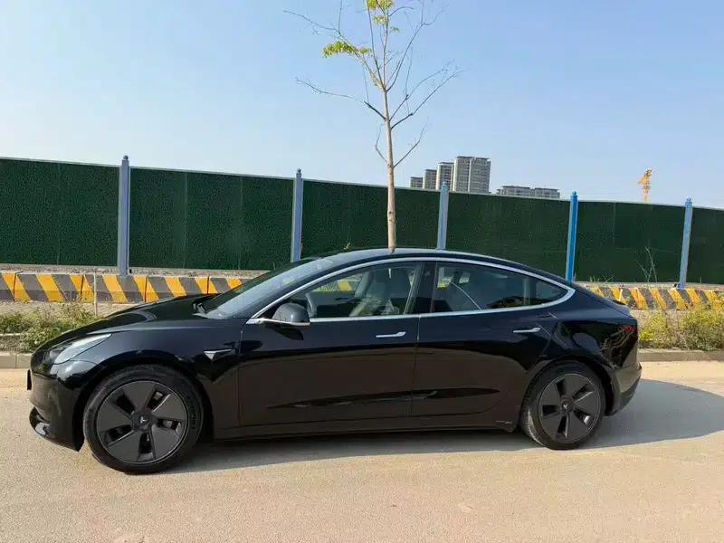 Model 3 2020 Standard Range Rear-Wheel Drive Upgrade — миниатюра 3