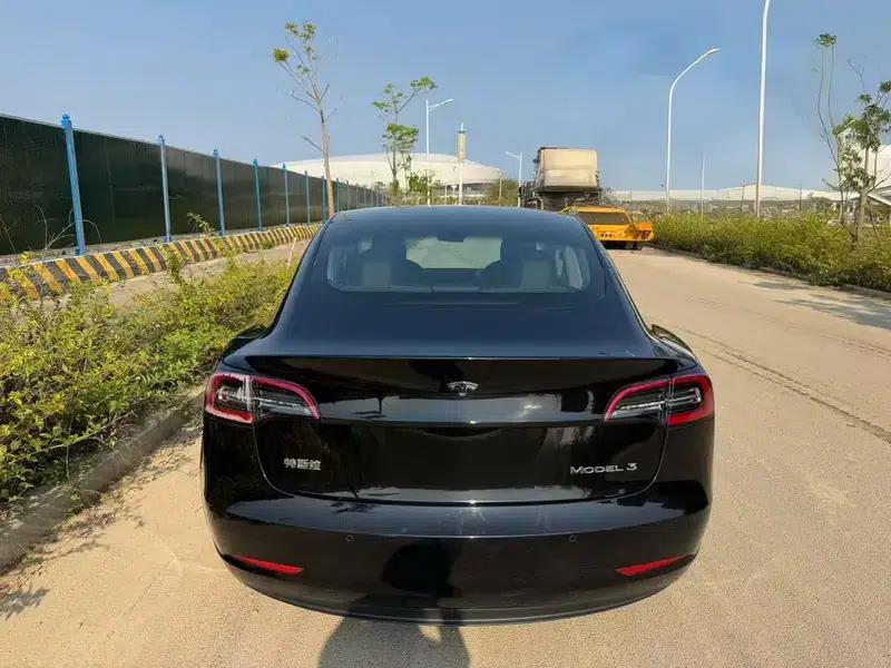 Model 3 2020 Standard Range Rear-Wheel Drive Upgrade — миниатюра 4