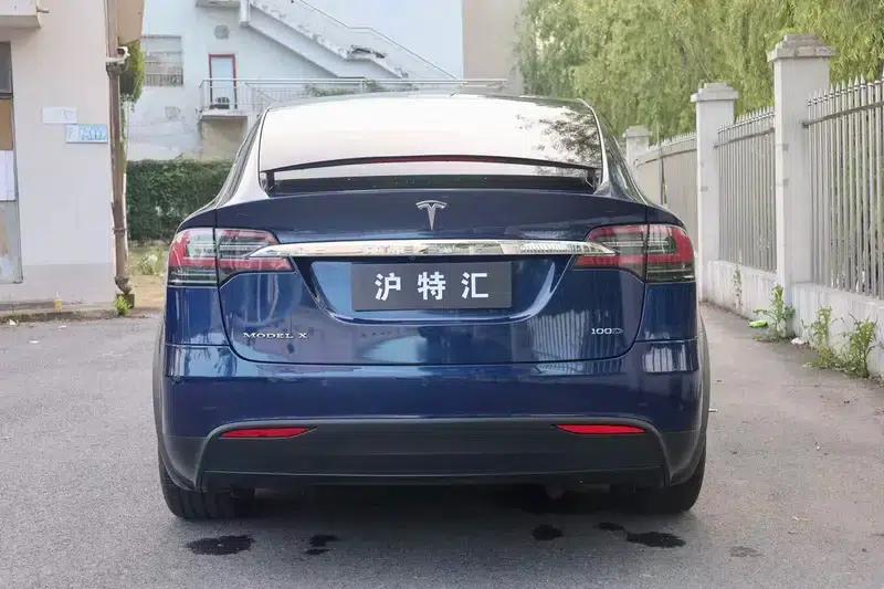 Model X 2017 100D Long Range — миниатюра 5