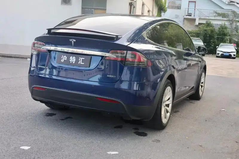 Model X 2017 100D Long Range — миниатюра 6