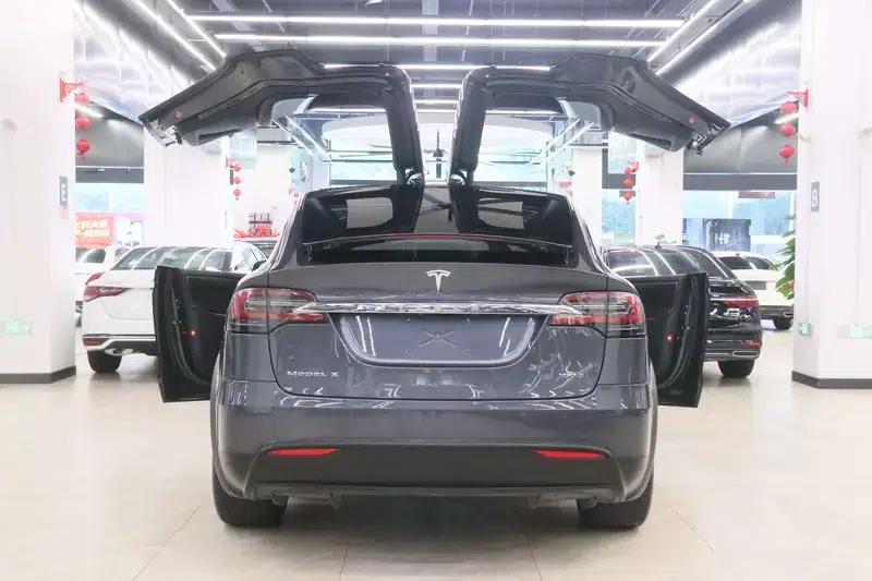 Model X 2017 100D Long Range — миниатюра 10