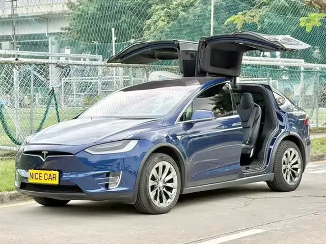 Model X 2017 100D Long Range