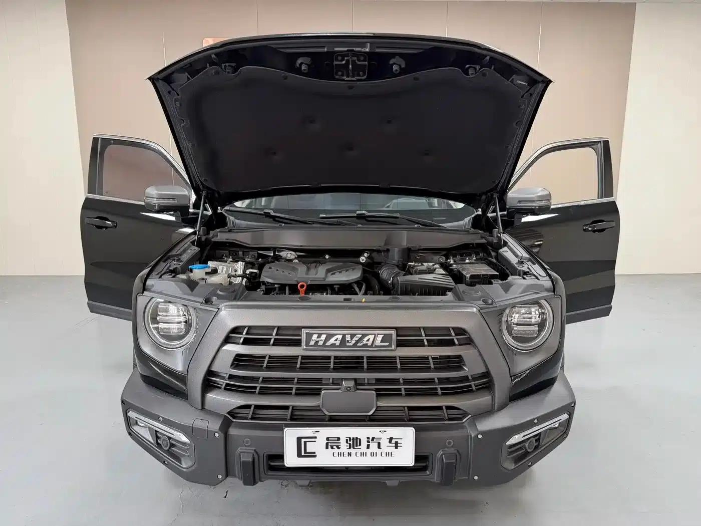 Haval Big Dog 2022 2.0T DCT 4WD Chinese Rural Dog Hunting Edition — миниатюра 15