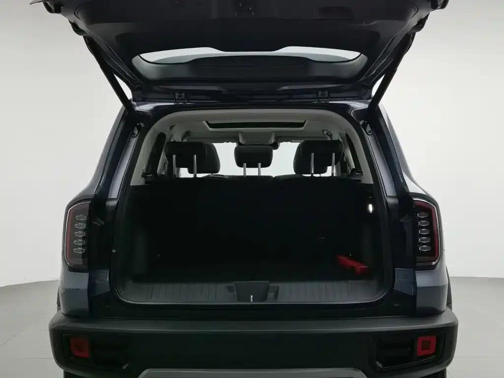 Haval Big Dog 2024 1.5T DCT Border Collie Edition — миниатюра 16