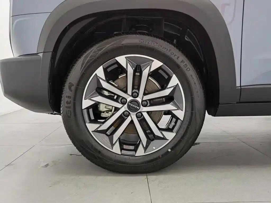 Haval Big Dog 2024 1.5T DCT Border Collie Edition — миниатюра 17