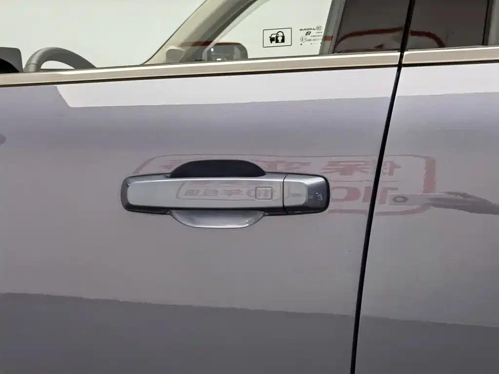 Haval Big Dog 2024 1.5T DCT Border Collie Edition — миниатюра 18