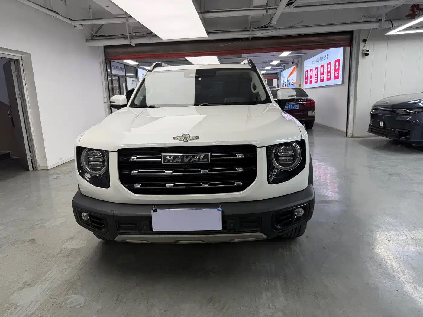 Haval Big Dog 2021 2.0T DCT 4WD Chinese Rural Dog Edition — миниатюра 2