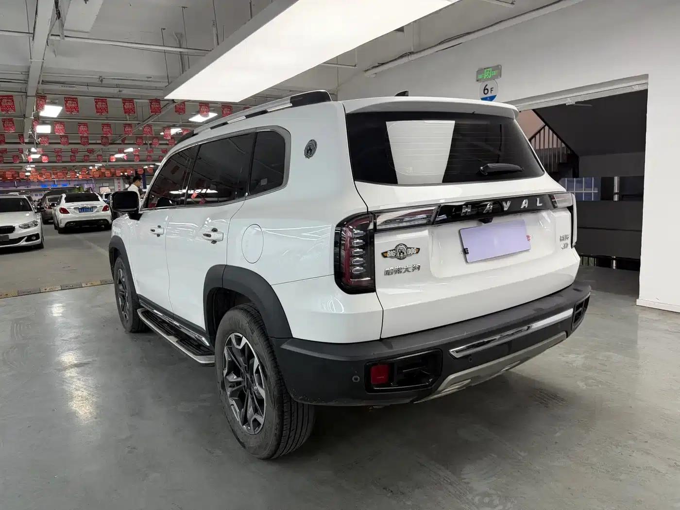 Haval Big Dog 2021 2.0T DCT 4WD Chinese Rural Dog Edition — миниатюра 11