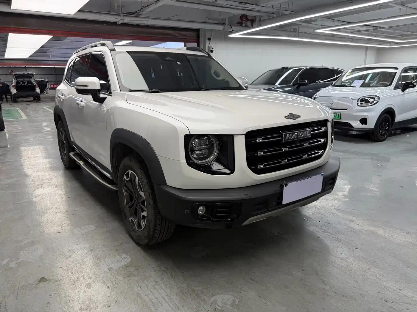 Haval Big Dog 2021 2.0T DCT 4WD Chinese Rural Dog Edition — миниатюра 3