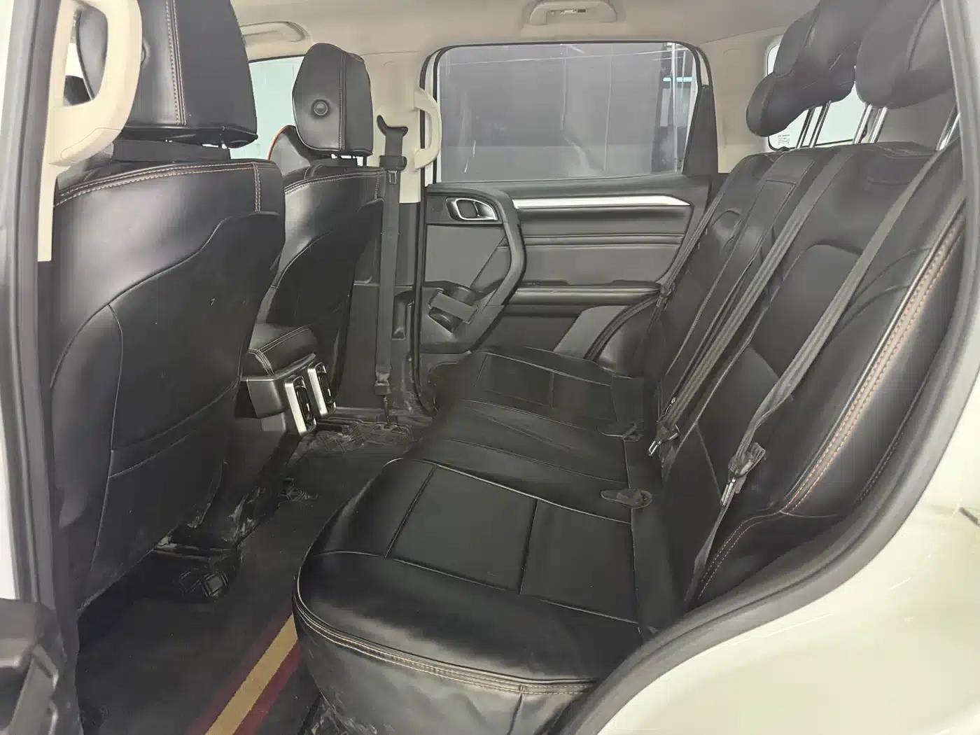 Haval Big Dog 2021 2.0T DCT 4WD Chinese Rural Dog Edition — миниатюра 5