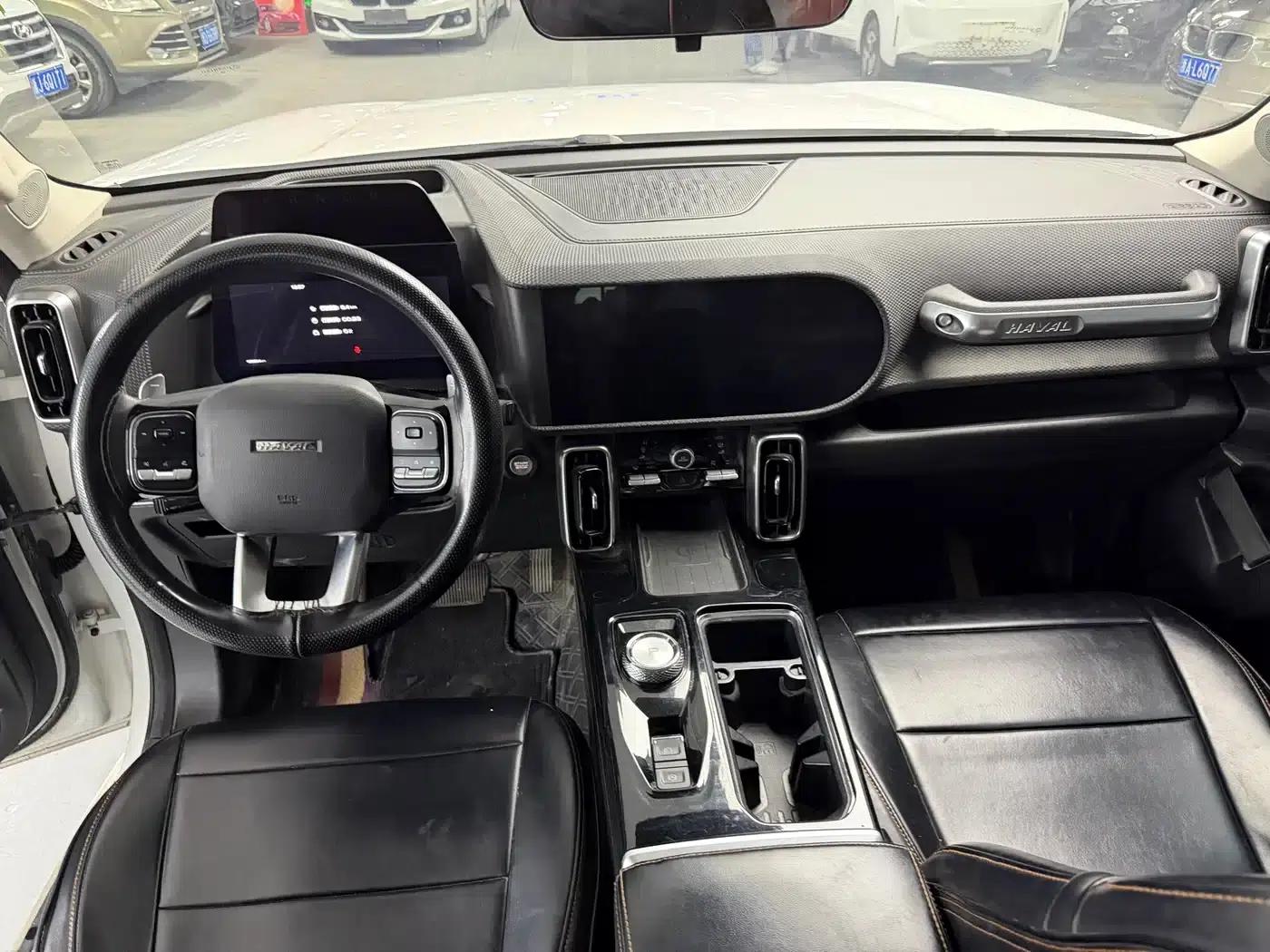 Haval Big Dog 2021 2.0T DCT 4WD Chinese Rural Dog Edition — миниатюра 6