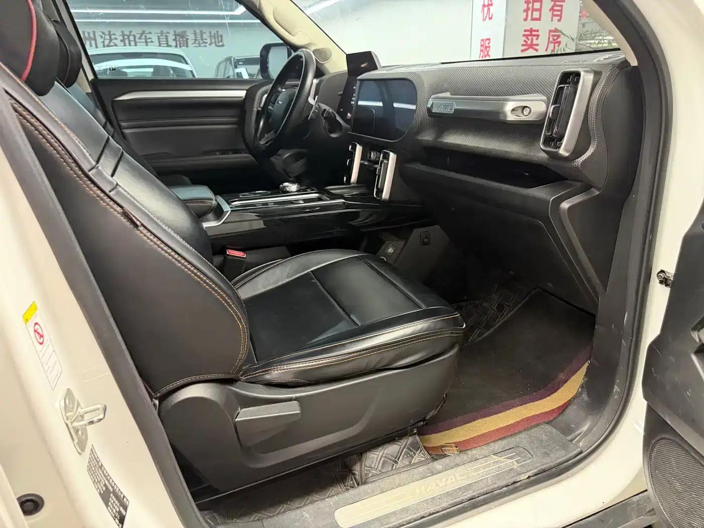 Haval Big Dog 2021 2.0T DCT 4WD Chinese Rural Dog Edition — миниатюра 7