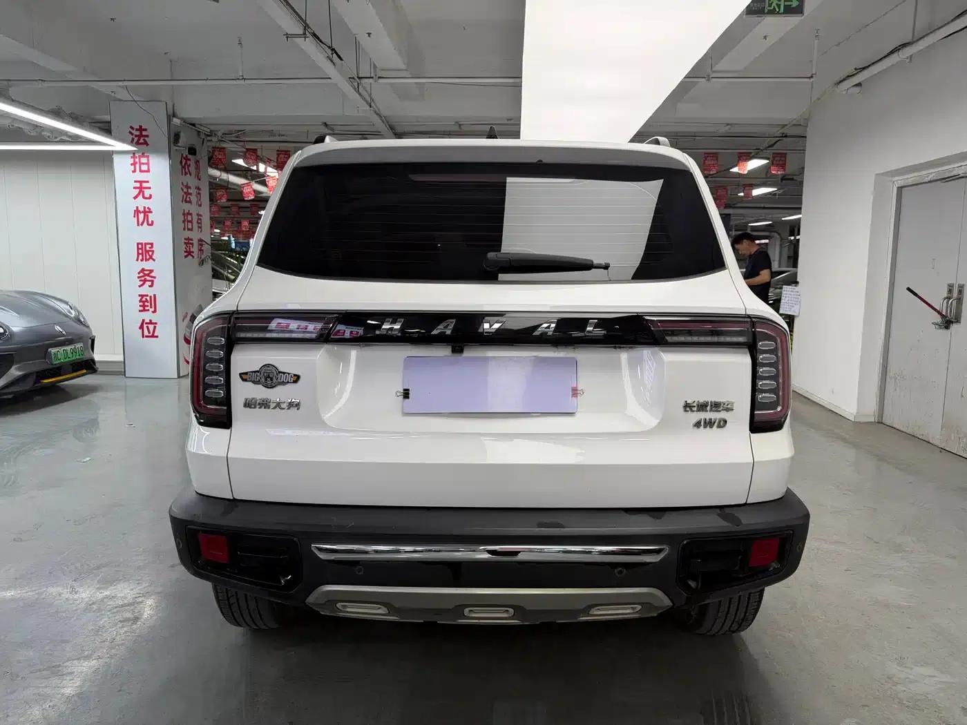 Haval Big Dog 2021 2.0T DCT 4WD Chinese Rural Dog Edition — миниатюра 10