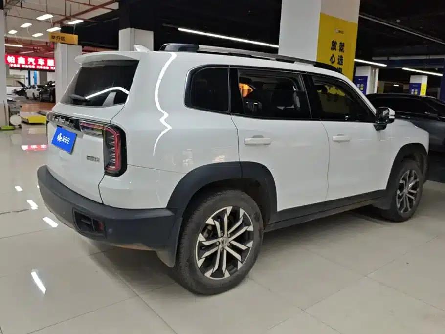 Haval Big Dog 2021 1.5T DCT 2WD Border Collie - Lucky Edition — миниатюра 3