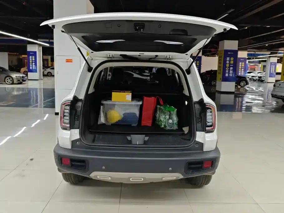Haval Big Dog 2021 1.5T DCT 2WD Border Collie - Lucky Edition — миниатюра 4