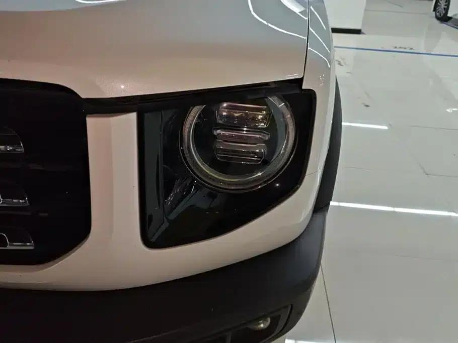 Haval Big Dog 2021 1.5T DCT 2WD Border Collie - Lucky Edition — миниатюра 5