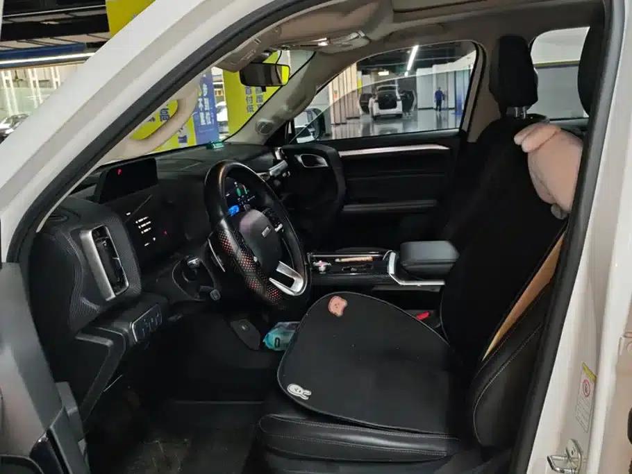 Haval Big Dog 2021 1.5T DCT 2WD Border Collie - Lucky Edition — миниатюра 9