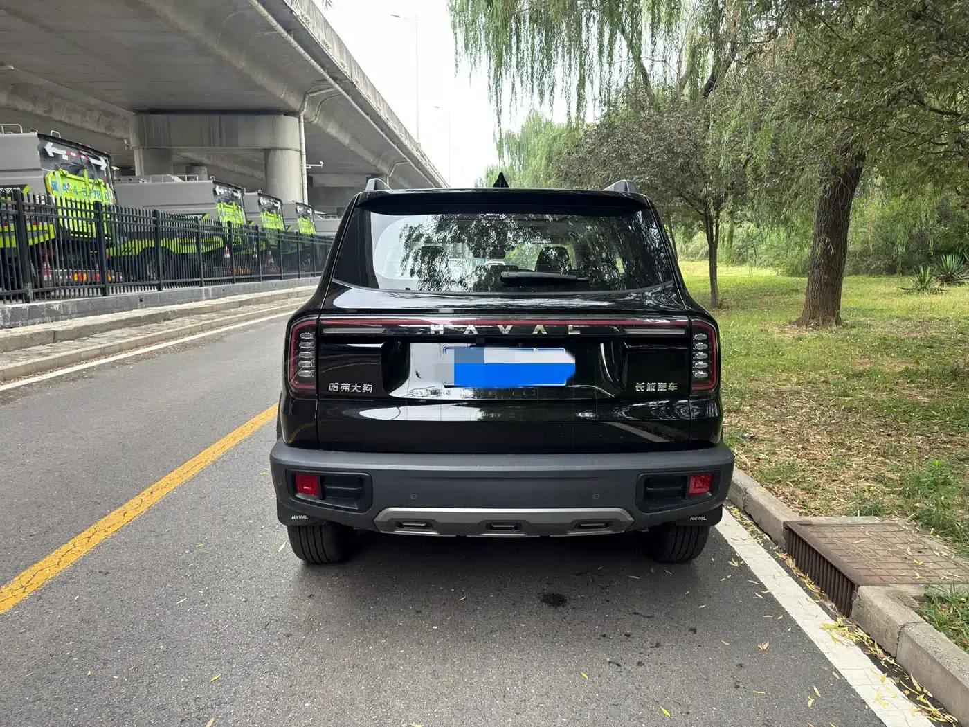 Haval Big Dog 2024 1.5T DCT Border Collie Edition — миниатюра 5