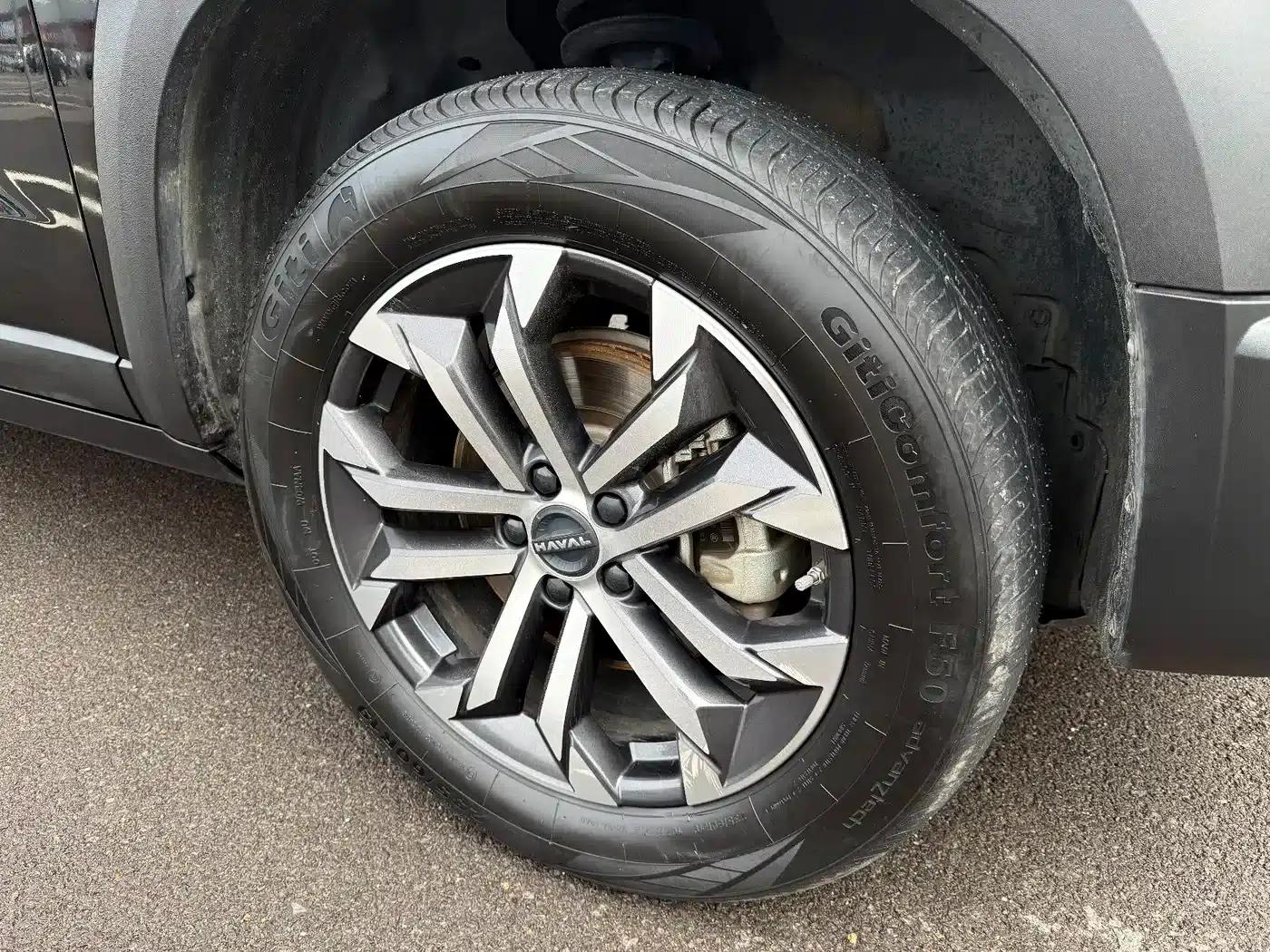 Haval Big Dog 2024 1.5T DCT Border Collie Edition — миниатюра 20