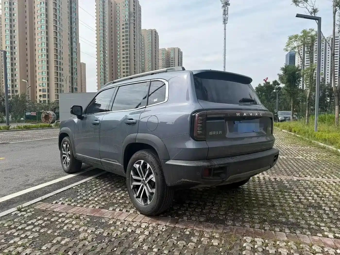 Haval Big Dog 2024 1.5T DCT Labrador Edition — миниатюра 4
