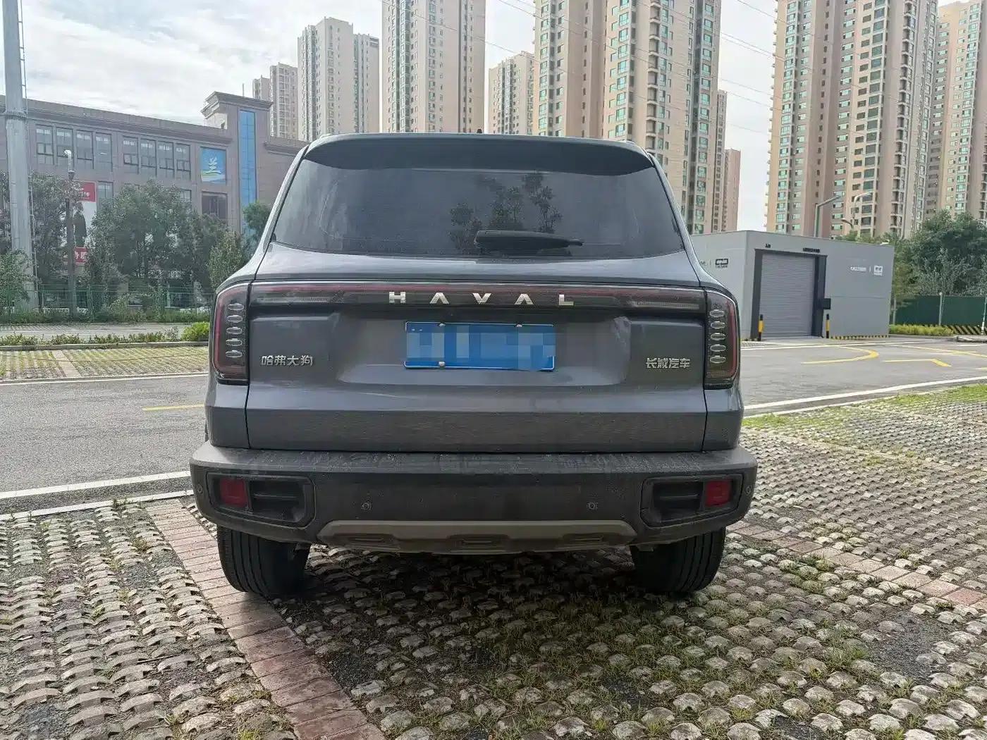 Haval Big Dog 2024 1.5T DCT Labrador Edition — миниатюра 5