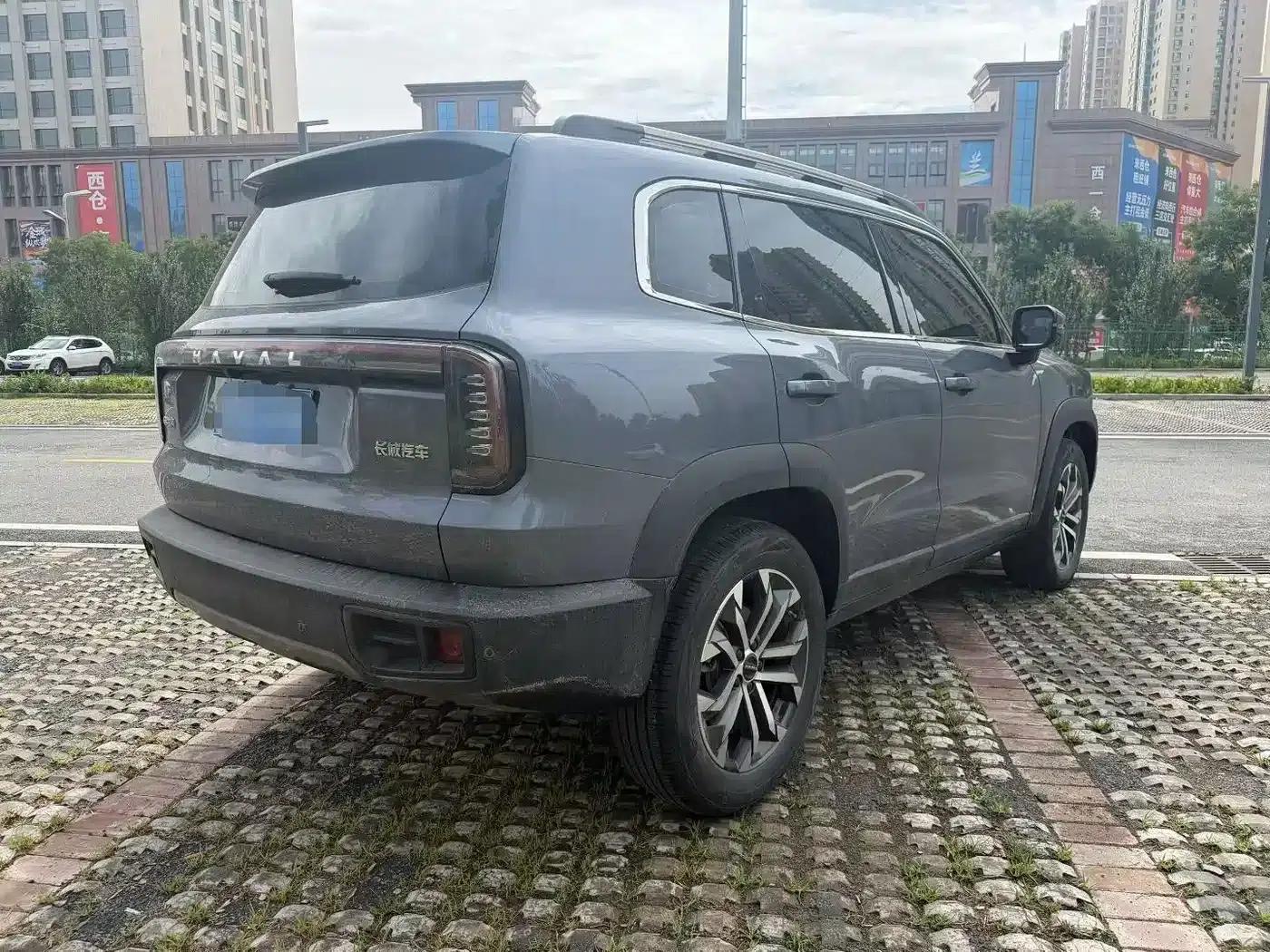Haval Big Dog 2024 1.5T DCT Labrador Edition — миниатюра 6