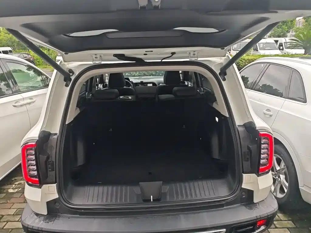 Haval Big Dog 2021 2.0T DCT 4WD Howling Dog Edition — миниатюра 19