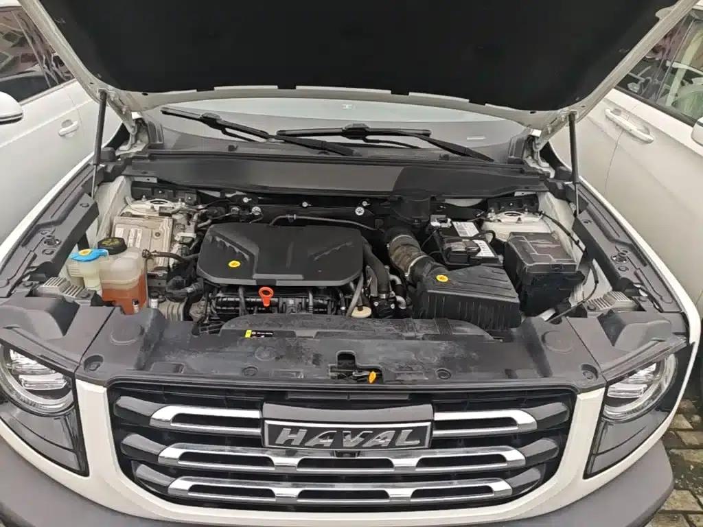 Haval Big Dog 2021 2.0T DCT 4WD Howling Dog Edition — миниатюра 20