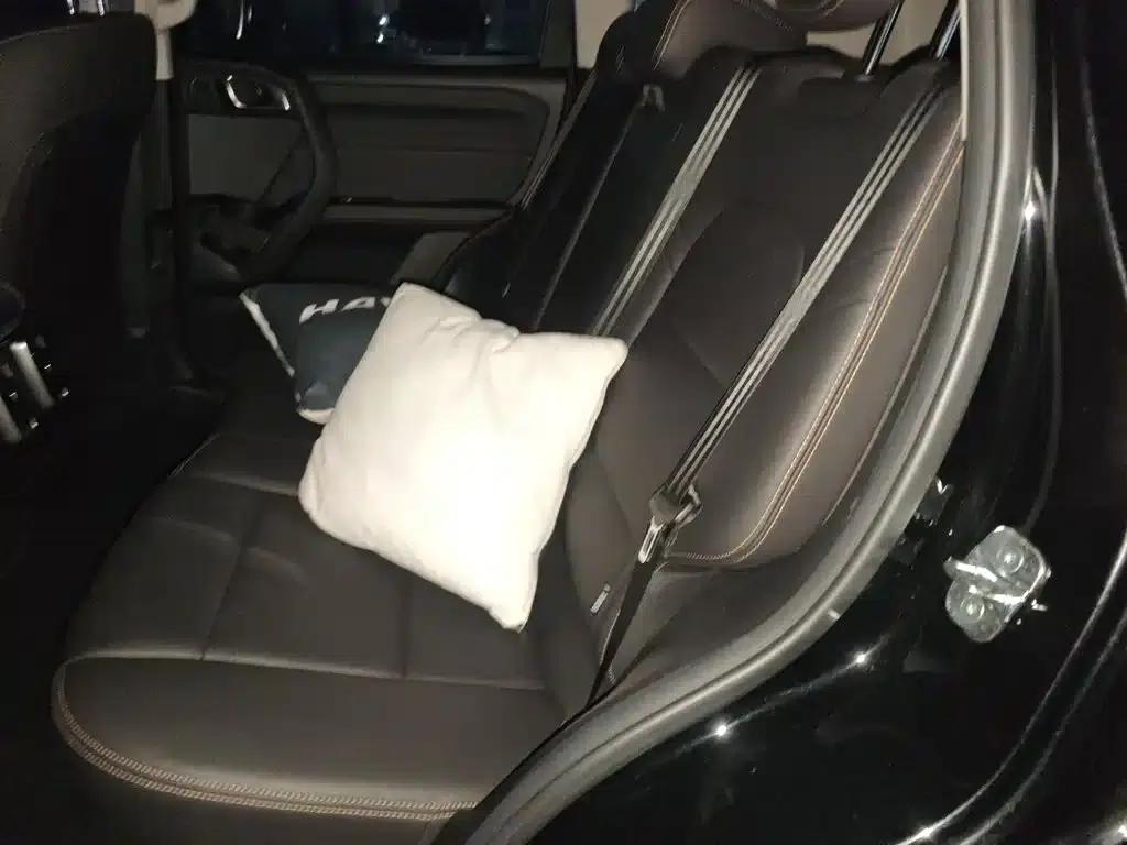 Haval Big Dog 2024 1.5T DCT Border Collie Edition — миниатюра 15