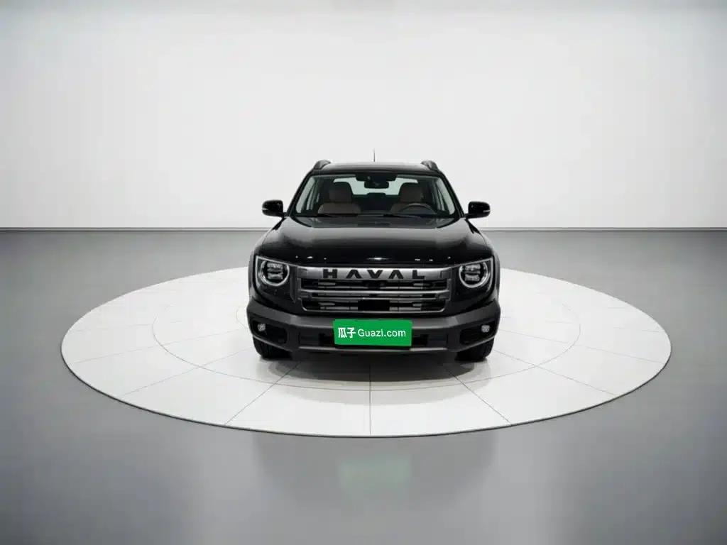 Haval Big Dog 2024 1.5T DCT Border Collie Edition — миниатюра 24