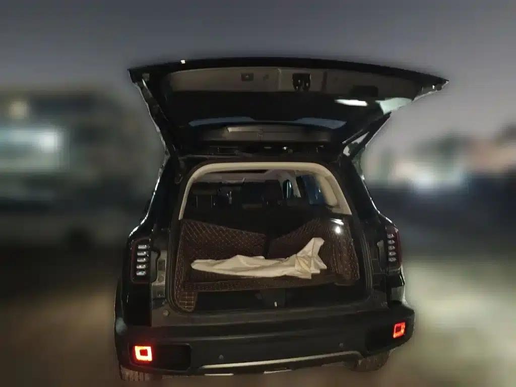 Haval Big Dog 2024 1.5T DCT Border Collie Edition — миниатюра 10