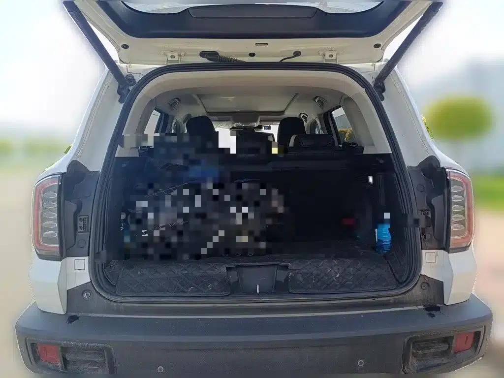 Haval Big Dog 2022 1.5T DCT 2WD Border Collie Edition — миниатюра 10