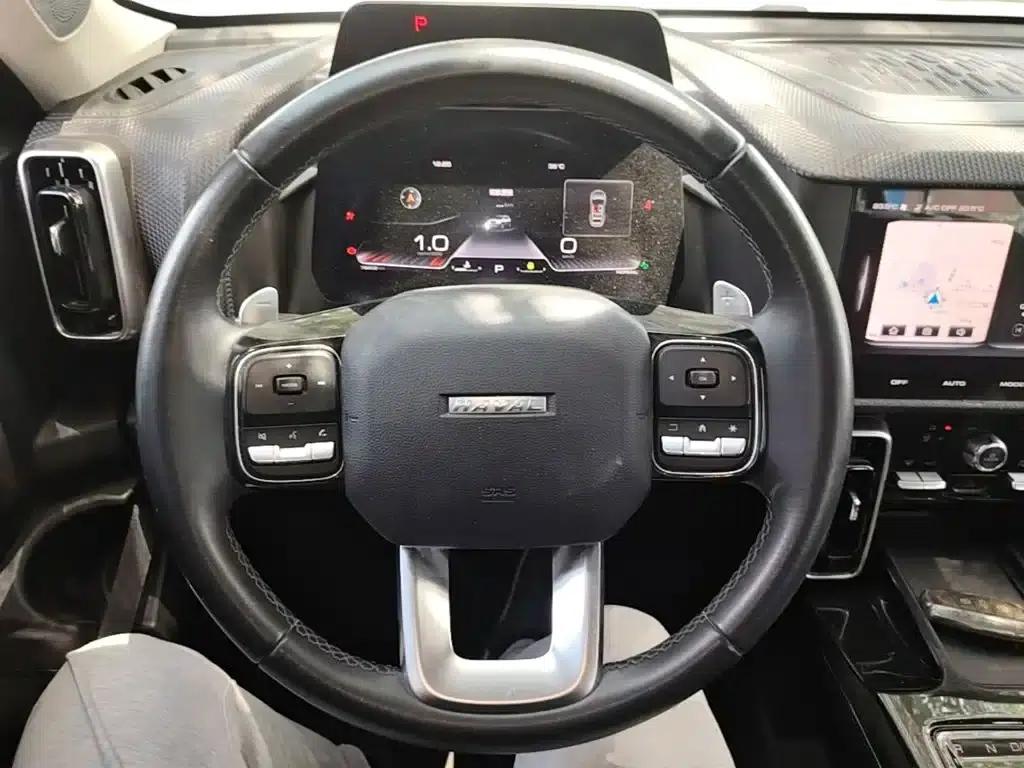 Haval Big Dog 2021 1.5T DCT 2WD Malinois Edition — миниатюра 11
