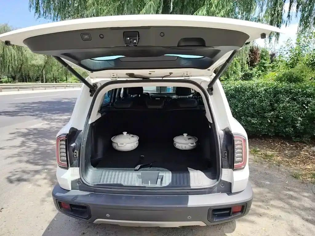Haval Big Dog 2021 1.5T DCT 2WD Malinois Edition — миниатюра 19