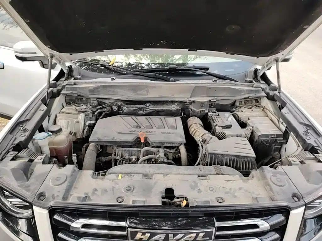 Haval Big Dog 2021 1.5T DCT 2WD Malinois Edition — миниатюра 20