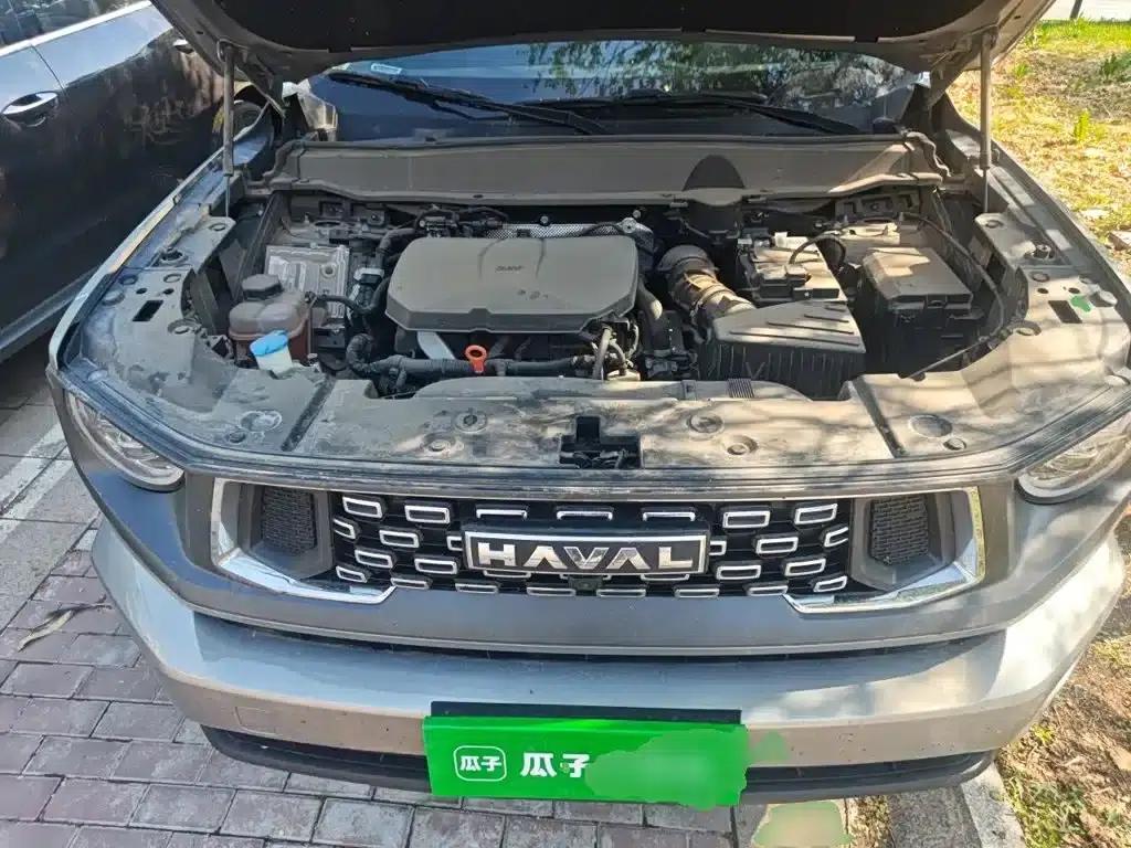 Haval Big Dog PLUS 2023 2.0T 2WD Trendy Wild Edition Plus — миниатюра 11