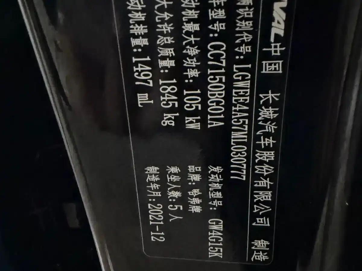 Haval Chitu 2022 Enjoy Edition 1.5T Bronze Rabbit — миниатюра 4