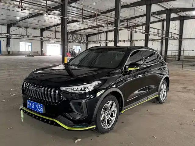 Haval Chitu 2022 Enjoy Edition 1.5T Bronze Rabbit