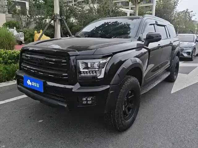 Haval H5 2024 2.0T Automatic Four-Wheel Drive Leading Edition (Gasoline)