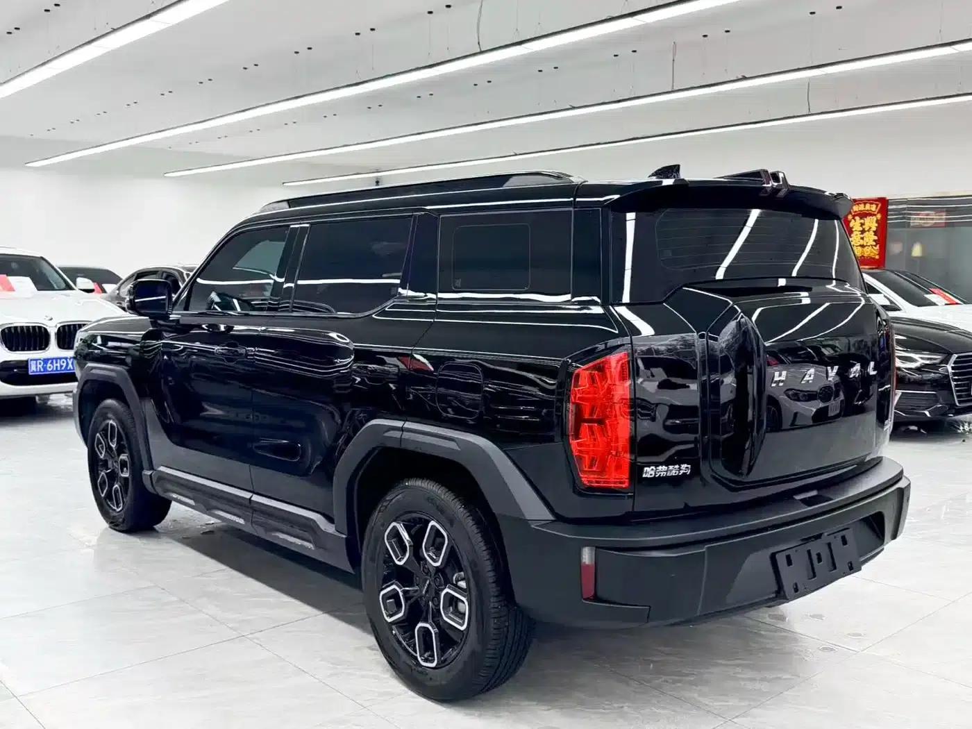 Haval Cool Dog 2022 1.5T DCT 4WD Trendy Wild Edition — миниатюра 4