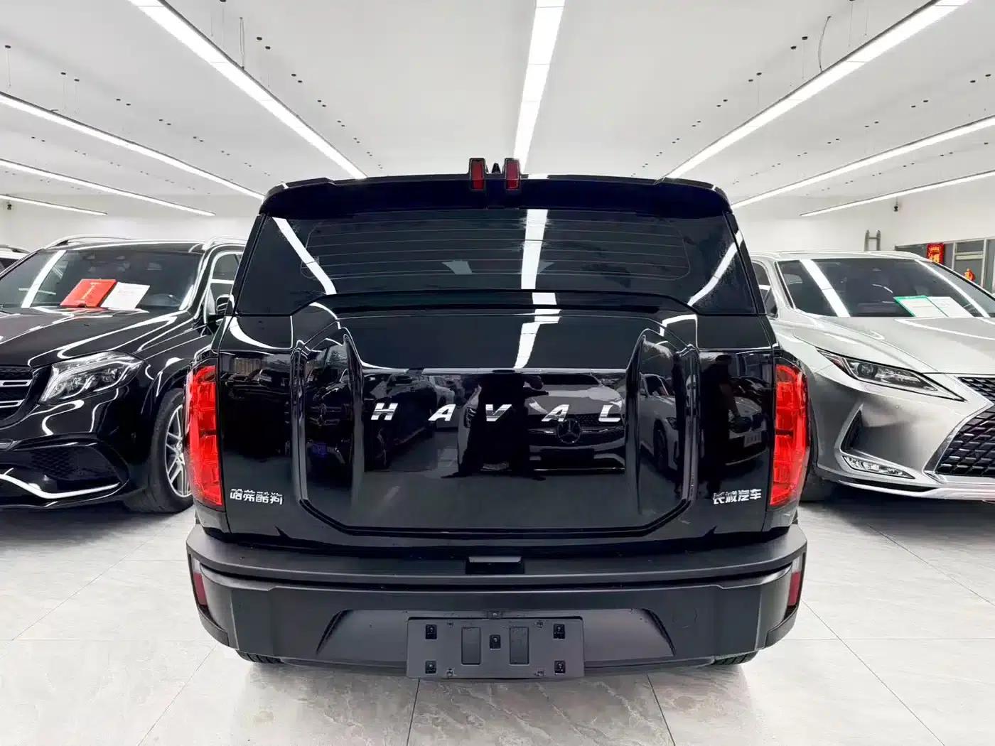 Haval Cool Dog 2022 1.5T DCT 4WD Trendy Wild Edition — миниатюра 5