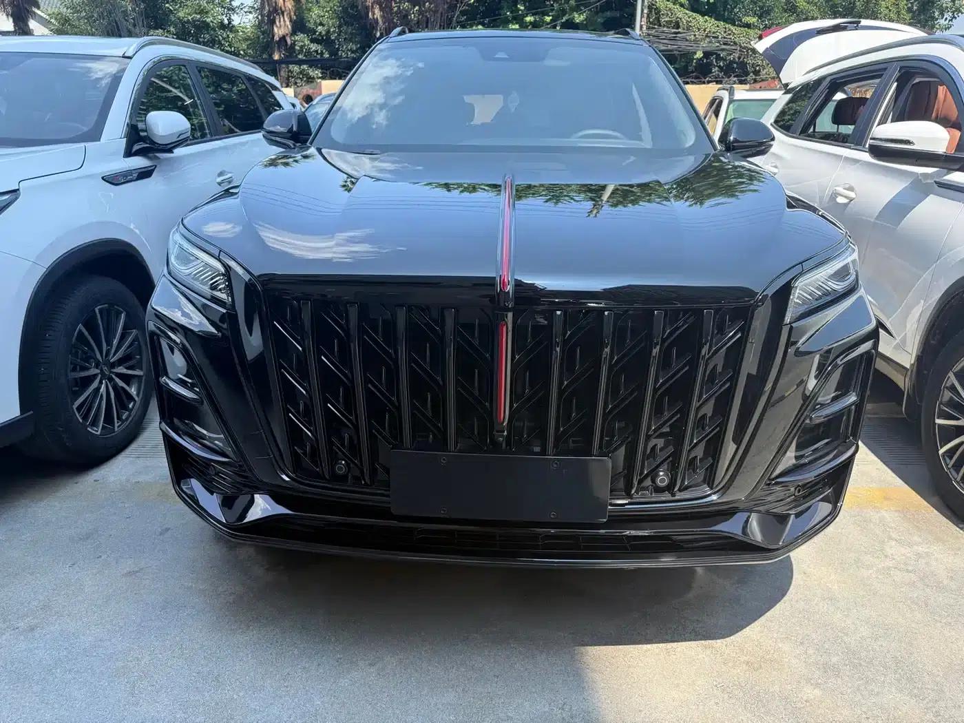 Hongqi HS5 2025 2.0T Two-Wheel Drive Xuan Ying Edition — миниатюра 3